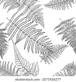 Seamless pattern with fern leaves. Vector illustration.