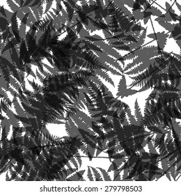 Seamless pattern of fern leaves. Vector illustration of jungle nature design. Black and white colors.