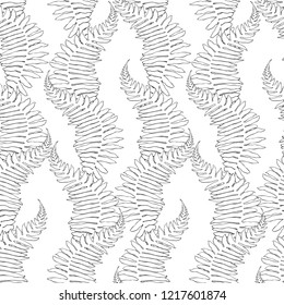 Seamless pattern with fern on white background.  Hand-drawn vector monochrome illustration.