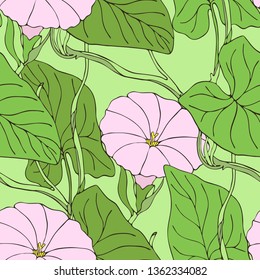 Seamless pattern with field bindweed