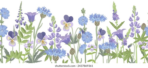 seamless pattern with field blue flowers, vector drawing wild flowering plants at white background, floral border, hand drawn botanical illustration