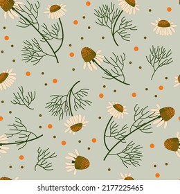 seamless pattern with field chamomile