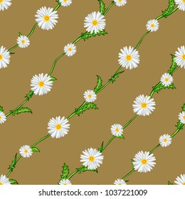 Seamless pattern from field chamomiles on stems diagonally. Flowers, stems and background are separated