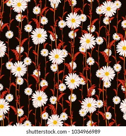 Seamless pattern from field chamomiles from the red forest. Night