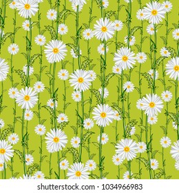 Seamless pattern from field chamomiles in the style of Provence. Summer