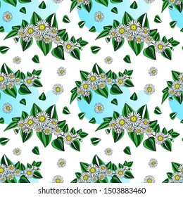 Seamless pattern from field chamomiles in the style of Provence. Summer. Spring. Flovers on white background