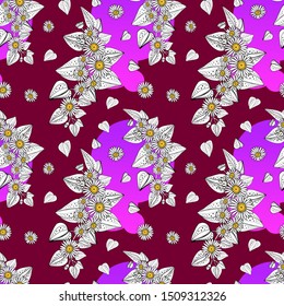 Seamless pattern from field chamomiles in the style of Provence. Summer. Spring. Flovers on pink backgraund