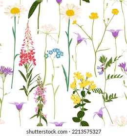 seamless pattern with field flowers, vector drawing wild plants at white background, flowering meadow , hand drawn botanical illustration