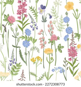 seamless pattern with field flowers, vector drawing wild plants at white background, floral ornament, hand drawn botanical illustration