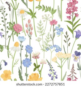 seamless pattern with field flowers, vector drawing wild plants at white background, floral ornament, hand drawn botanical illustration