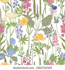 seamless pattern with field flowers, vector drawing wild flowering plants at white background, floral border, hand drawn botanical illustration