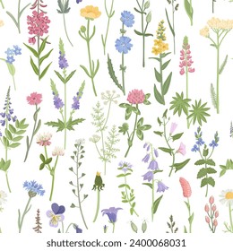 seamless pattern with field flowers, vector drawing wild flowering plants at white background, floral border, hand drawn botanical illustration