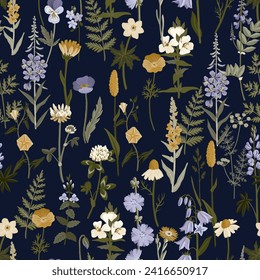 seamless pattern with field flowers, vector drawing wild flowering plants at dark blue background, floral cover design, hand drawn botanical illustration