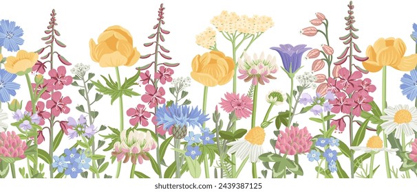 seamless pattern with field flowers, vector drawing wild flowering plants at white background, floral border, hand drawn botanical illustration