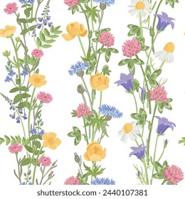 seamless pattern with field flowers, vector drawing plants at white background, floral garlands, hand drawn botanical illustration