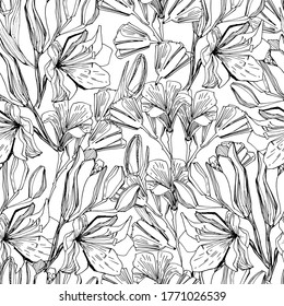 Patrón sin foco con campo, flor de jardín. Libro de Colores para niños y adultos con preciosas y delicadas mentiras en diferentes posiciones. gráficos manuales. aislar. Para textiles, papel pintado, colorante