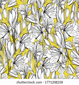 Seamless pattern with field, garden flower lily. Background for children and adults with beautiful delicate lilies in different positions. manual graphics. isolate. For textile, wallpaper, packaging 
