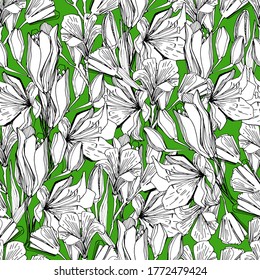 Seamless pattern with field, garden flower lily. Background for children and adults with beautiful delicate lilies in different positions. manual graphics. isolate. For textile, wallpaper, packaging 
