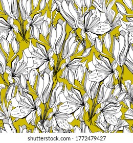 Seamless pattern with field, garden flower lily. Background for children and adults with beautiful delicate lilies in different positions. manual graphics. isolate. For textile, wallpaper, packaging 