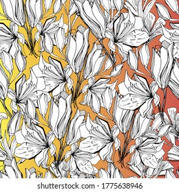 Seamless pattern with field, garden flower lily. Background for children and adults with beautiful delicate lilies in different positions. manual graphics. isolate. For textile, wallpaper, packaging 