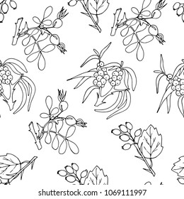 Seamless pattern with field plants, leaves and branches, hand drawing style, vector illustration, outline on white
