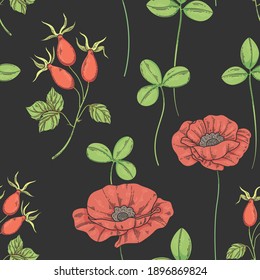 Seamless pattern with field poppies and rose hips