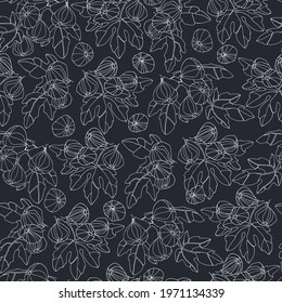 Seamless pattern. Fig tree branches with fruit. Outlined vector illustration