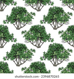Seamless pattern with fig trees