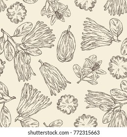 Seamless pattern with fingered citron: fingered citron fruit and slice of fingered citron. Buddha's hand. Vector hand drawn illustration. 