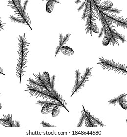 Seamless pattern of fir branches and cones on a white background. Vector. Christmas seamless pattern