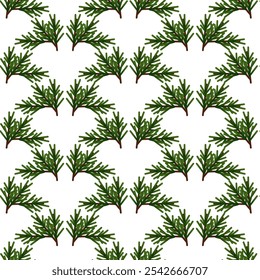 Seamless pattern of fir tree branches on a white background