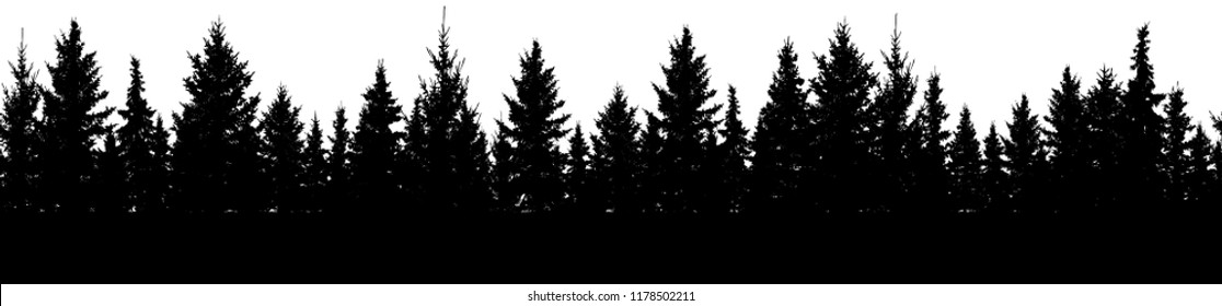 Seamless pattern of fir trees, silhouette of forest. Vector