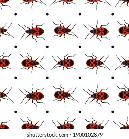 Seamless pattern with Firebug insects on white background. Vector illustration