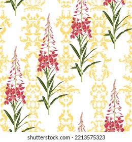 seamless pattern with fireweed, red willowherb, field flowers, vector drawing wild plants at white background with yellow florish vintage elements, flowering meadow , hand drawn botanical illustration