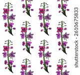 Seamless pattern with fireweed, willowherb, bombweed. Chamaenerion angustifolium flower. Colorful drawing in engraving vintage style on white background. Botanical hand drawn illustration