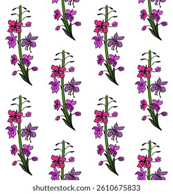 Seamless pattern with fireweed, willowherb, bombweed. Chamaenerion angustifolium flower. Colorful drawing in engraving vintage style on white background. Botanical hand drawn illustration