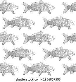 Seamless pattern of fish carp, hand drawn. Can be used for packaging, market and etc. Vector illustration.