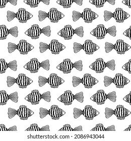 Seamless pattern with fishes. Black and white hand drawn vector illustration. Seamless background. Wallpaper design. Fabric design. Simple vector pattern with cute fishes.