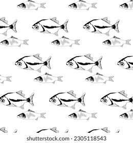 Seamless pattern with fishes doodle silhouette, vector illustration on white background.Vector drawing of a black sketch of a fish swimming in different directions for a design template. Cute fish pic
