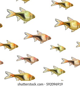 Seamless pattern with fishes (Harlequin rasbora)