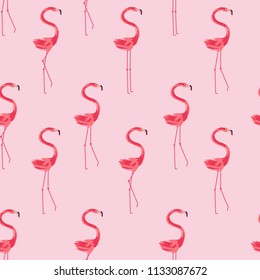 Seamless pattern with flamingo.