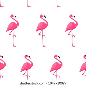 Seamless pattern with flamingo birds. Vector illustration