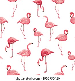 seamless pattern with flamingo. modern background with birds on vector