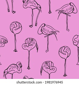 vector de fondo rosado de flamingo de patrón transparente