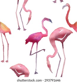 Seamless pattern with flamingo, pink color