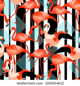 Seamless pattern with flamingo. Tropical bright abstract birds.