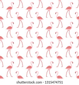 Seamless pattern with flamingo. Tropical exotic bird background. Design for poster or print.