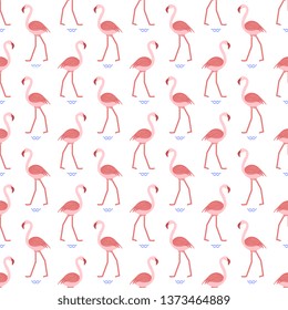 Seamless pattern with flamingo. Tropical exotic bird background. Design for poster or print.