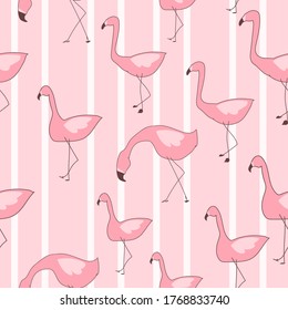 Patrón sin foco Flamingo. Vector tropical sin costura, diseño textil Flamingo
