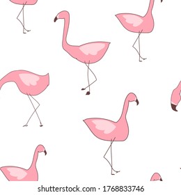 Patrón sin foco Flamingo. Vector tropical sin costura, diseño textil Flamingo